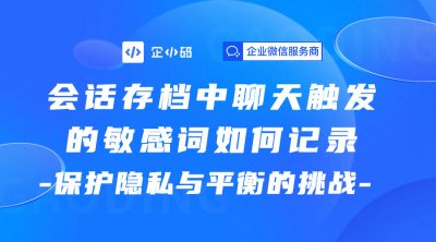 会话存档中聊天触发的敏感词如何记录：保护隐私与平衡的挑战